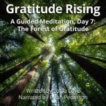 Gratitude Rising, Day 7 A Guided Med..., Loula Love