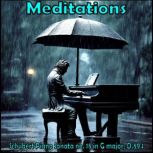 Meditations  Schubert Piano Sonata n..., Various