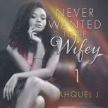 Never Wanted To Be Wifey, Jahquel J.