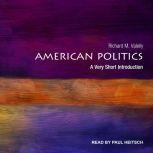 American Politics A Very Short Introduction, Richard M. Valelly