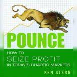 Pounce How to Seize Profit in Today's Chaotic Markets, Ken Stern