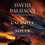 A Calamity of Souls, David Baldacci