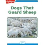 Dogs That Guard Sheep, Cat Urbigkit