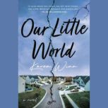 Our Little World A Novel, Karen Winn
