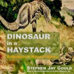 Dinosaur in a Haystack Reflections in Natural History, Stephen Gould