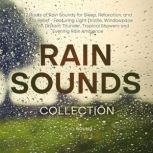 Rain Sounds Collection 12 Hours of R..., Echo Sound Studio