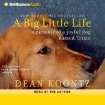 A Big Little Life, Dean Koontz