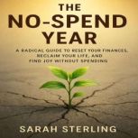 The NoSpend Year, Claire Donnelly