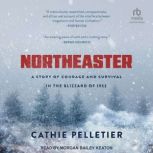Northeaster, Cathie Pelletier