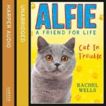 Alfie Cat In Trouble, Rachel Wells