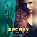 Secret, Brigid Kemmerer