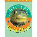Life Cycle of a Bullfrog, Jason Cooper