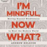 Im Mindful, Now What?, Andrew Holecek