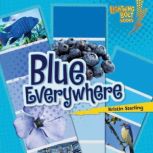 Blue Everywhere, Kristin Sterling