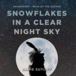 Snowflakes in a Clear Night Sky, Jamie Sutliff