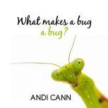 What Makes a Bug a Bug?, Andi Cann