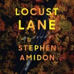 Locust Lane, Stephen Amidon