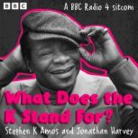 What Does the K Stand For?, Stephen K Amos