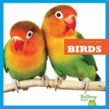 Birds, Cari Meister