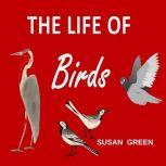 The Life of Birds, Susan Green