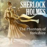 Sherlock Holmes The Phantom of Yorks..., Petr Macek