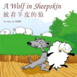 A Wolf in Sheepskin ..., Yunru Du