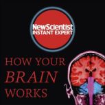 How Your Brain Works, Mark Elstob