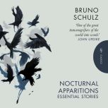 Nocturnal Apparitions, Bruno Schulz