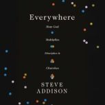 Everywhere, Steve Addison