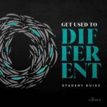 Get Used to Different, Amanda Jenkins