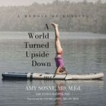 A World Turned Upside Down, Amy Sosne