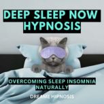 Deep Sleep Now Hypnosis, Dreame Hipnosis