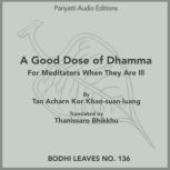 A Good Dose of Dhamma, Tan Acharn Kor Khaosuanluang