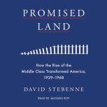 Promised Land, David Stebenne