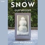 Snow, Amy Waldman