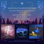 Unlocking the Untethered Mind Guided ..., Intelligent Meditations