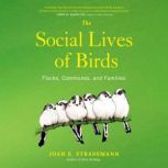 The Social Lives of Birds, Joan E. Strassmann