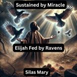 Sustained by Miracle, Silas Mary