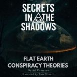 Secrets in the Shadows, David Cameron