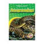 Anacondas, Colleen Sexton