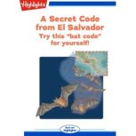 A Secret Code from El Salvador, Marcia Popp