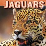 Jaguars, Tammy Gagne