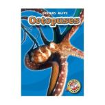 Octopuses, Ann Herriges