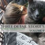 Three Detail Stories, Nicholas Leither