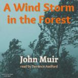 A Wind Storm In The Forest, John Muir