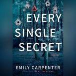 Every Single Secret, Emily Carpenter