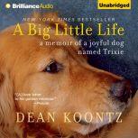 A Big Little Life, Dean Koontz