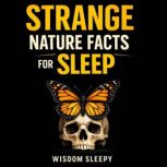 Strange Nature Facts for Sleep, Wisdom Sleepy