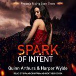 Spark of Intent, Quinn Arthurs