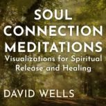 Soul Connection Meditations, David Wells